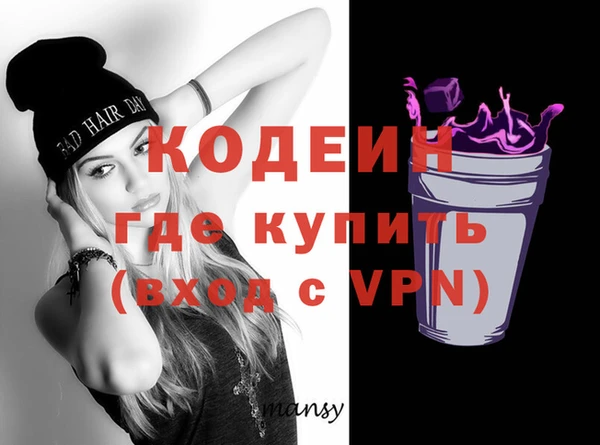 индика Балахна