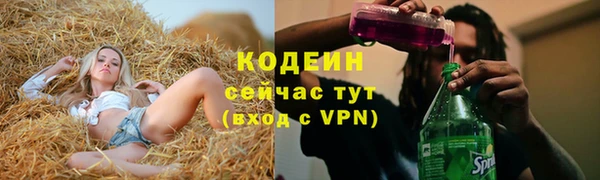 индика Балахна