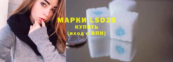индика Балахна