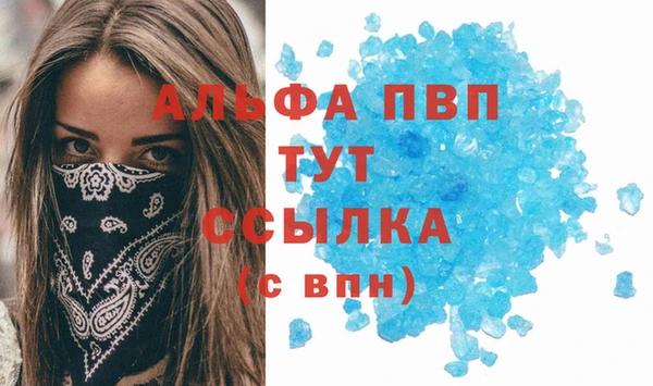 индика Балахна