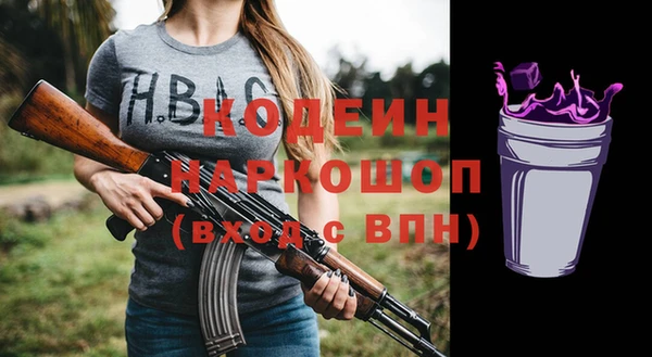 индика Балахна