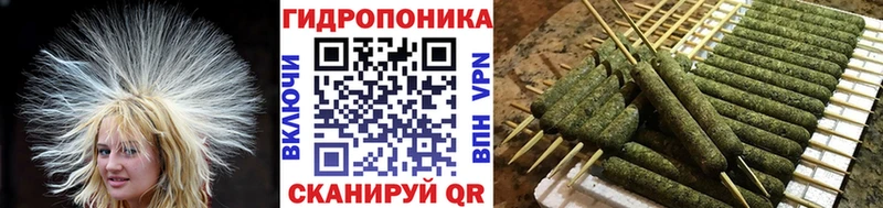 ОМГ ОМГ онион  Заозёрск  Марихуана THC 21% 